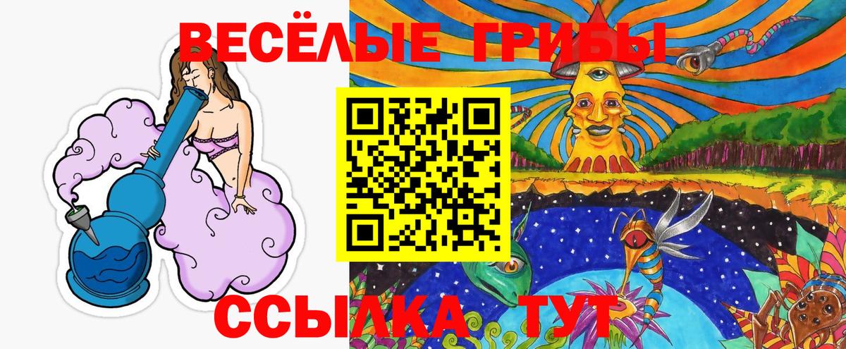 Псилоцибиновые грибы Psilocybe Йошкар-Ола